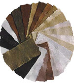 Paper made from mushrooms