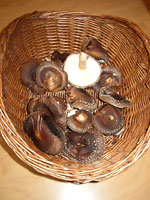 Shiitake mushrooms